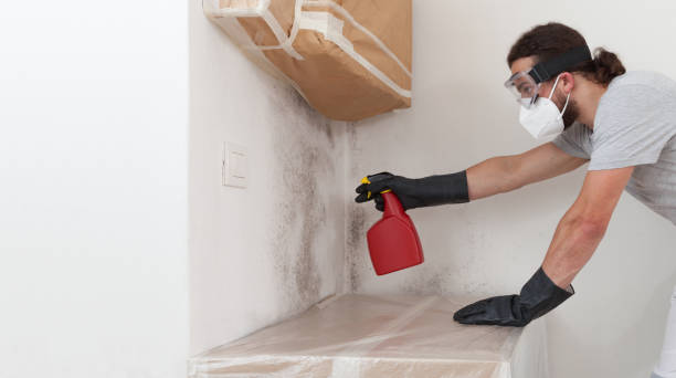 Professional Mold Testing technician working in Brighton, IL
